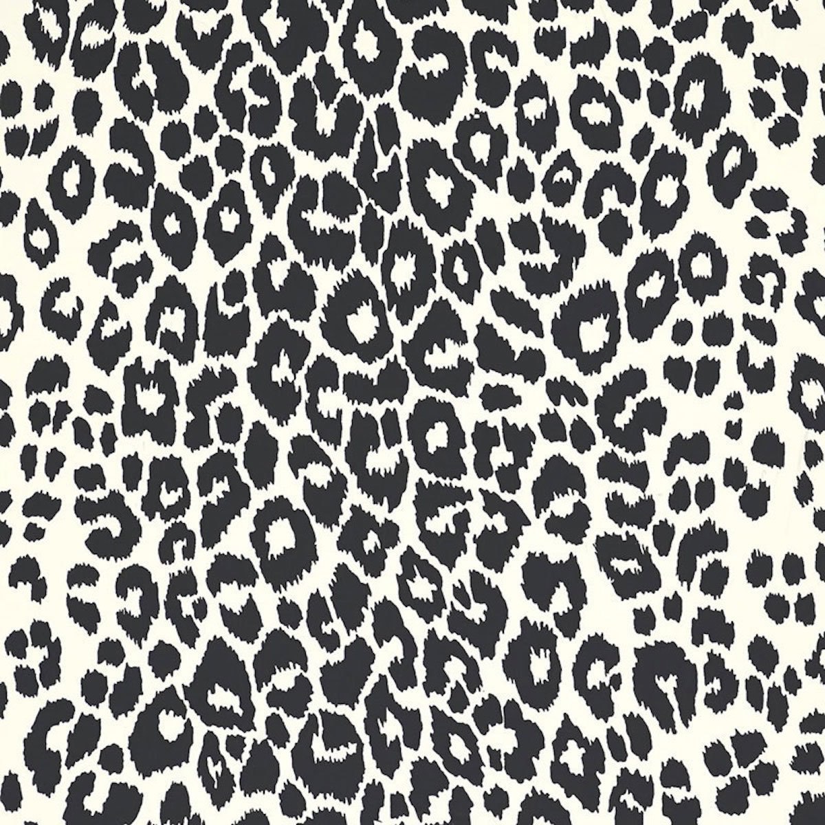 5007012.jpg ICONIC LEOPARD GRAPHITE Wallpaper by Schumacher - Image 1