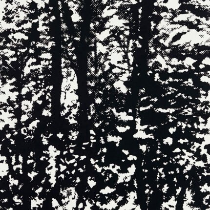 WOODLAND NIGHT Wallpaper by Schumacher