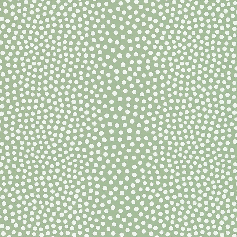 5007503.jpg RAINDOTS SPRING Wallpaper by Schumacher Drawn From Nature Wallpaper SCH-5007503