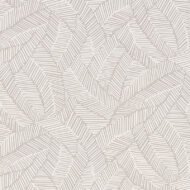 DOVE
