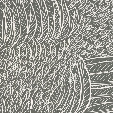 FEATHERFEST SLATE Wallpaper by Schumacher