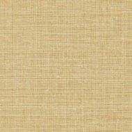 GILT SHIMMER