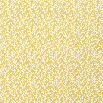 FOLLY MIMOSA Wallcovering by Schumacher