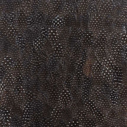 TITANIUM BLACK & WHITE Panel by Schumacher Plume Wallpaper SCH-5008378