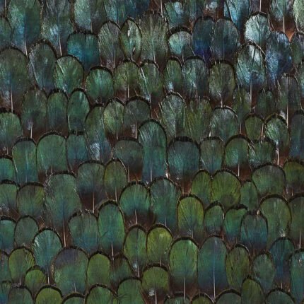JADE FOREST GREEN Panel by Schumacher Plume Wallpaper SCH-5008380