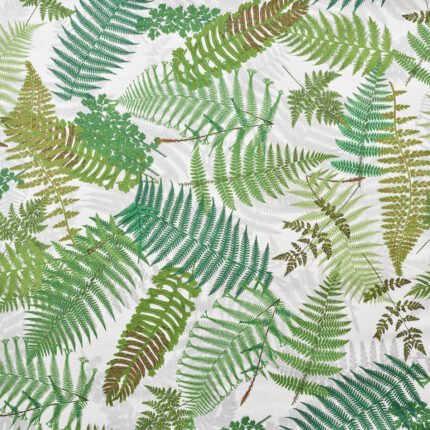 FERNARIUM IVORY & LEAF Wallcovering by Schumacher