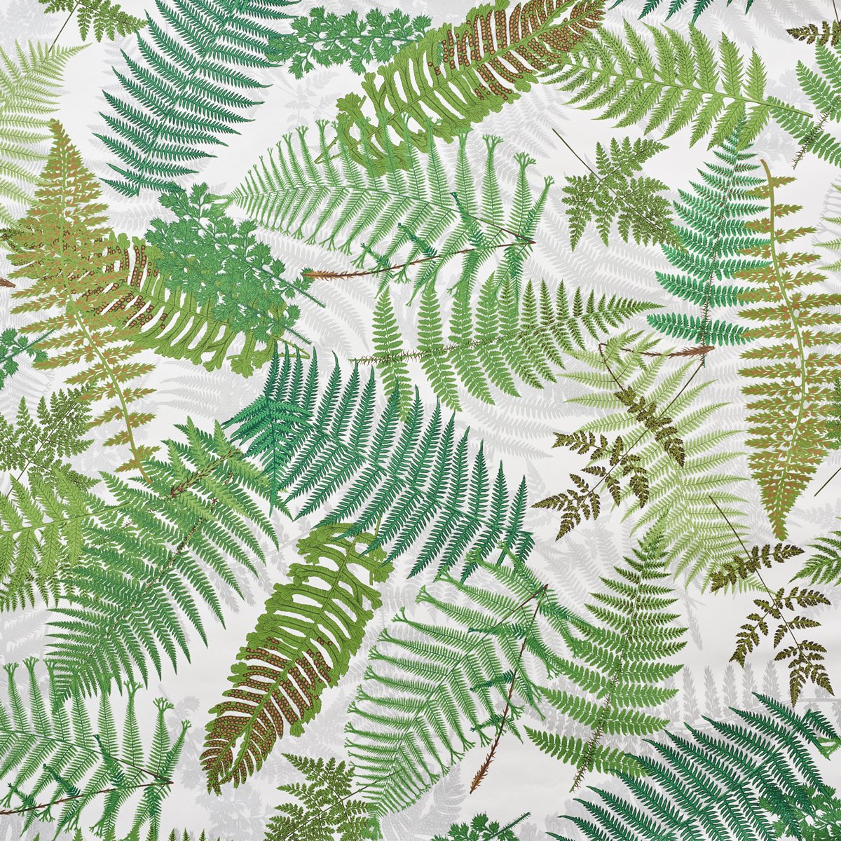 5009190.jpg FERNARIUM IVORY & LEAF Wallcovering by Schumacher - Image 1