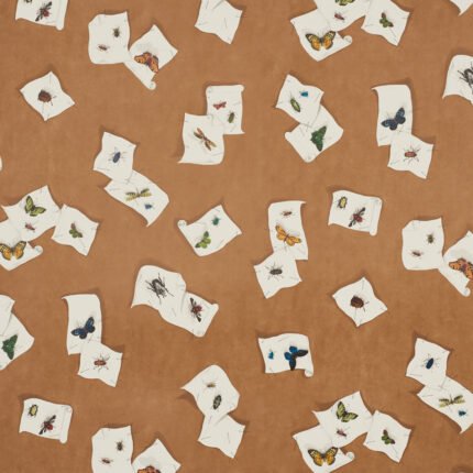 Diana MULTI Wallcovering by Schumacher