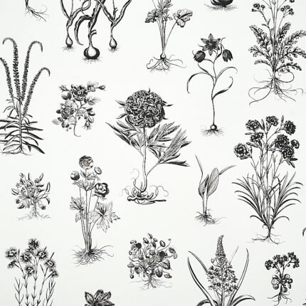 CABOT BOTANICAL LARGE IVORY Wallcovering by Schumacher