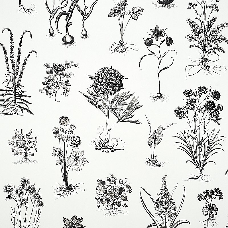 5010640.jpg CABOT BOTANICAL LARGE IVORY Wallcovering by Schumacher - Image 1