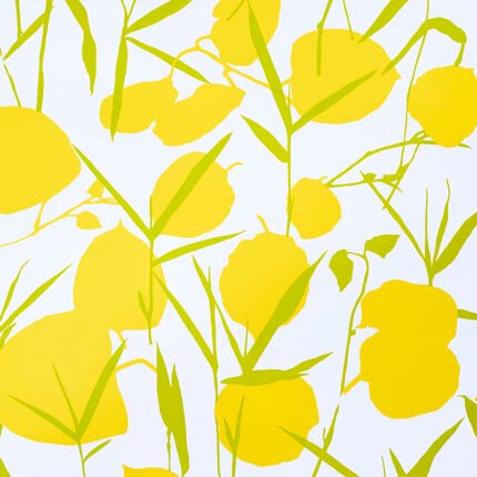 JOAN YELLOW Wallcovering by Schumacher