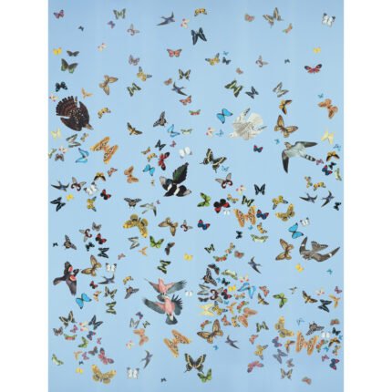 QUEEN'S FLIGHT PANEL SET SKY Panel Set by Schumacher