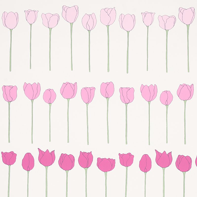 EDIE PINK LADIES Wallcovering by Schumacher Pink Ladies