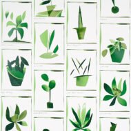 GREENHOUSE