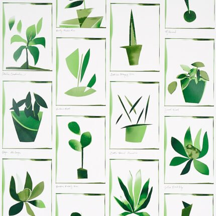 BOTANICALS GREENHOUSE Wallcovering by Schumacher Liz Nielsen For Peg Norriss Wallpaper SCH-5012691