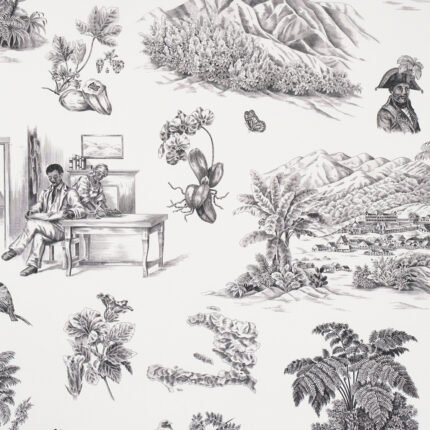 TOUSSAINT TOILE BLACK ON IVORY Wallcovering by Schumacher