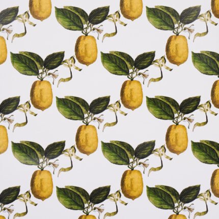 LE CITRON IVORY Wallcovering by Schumacher Johnson Hartig Wallpaper SCH-5014280