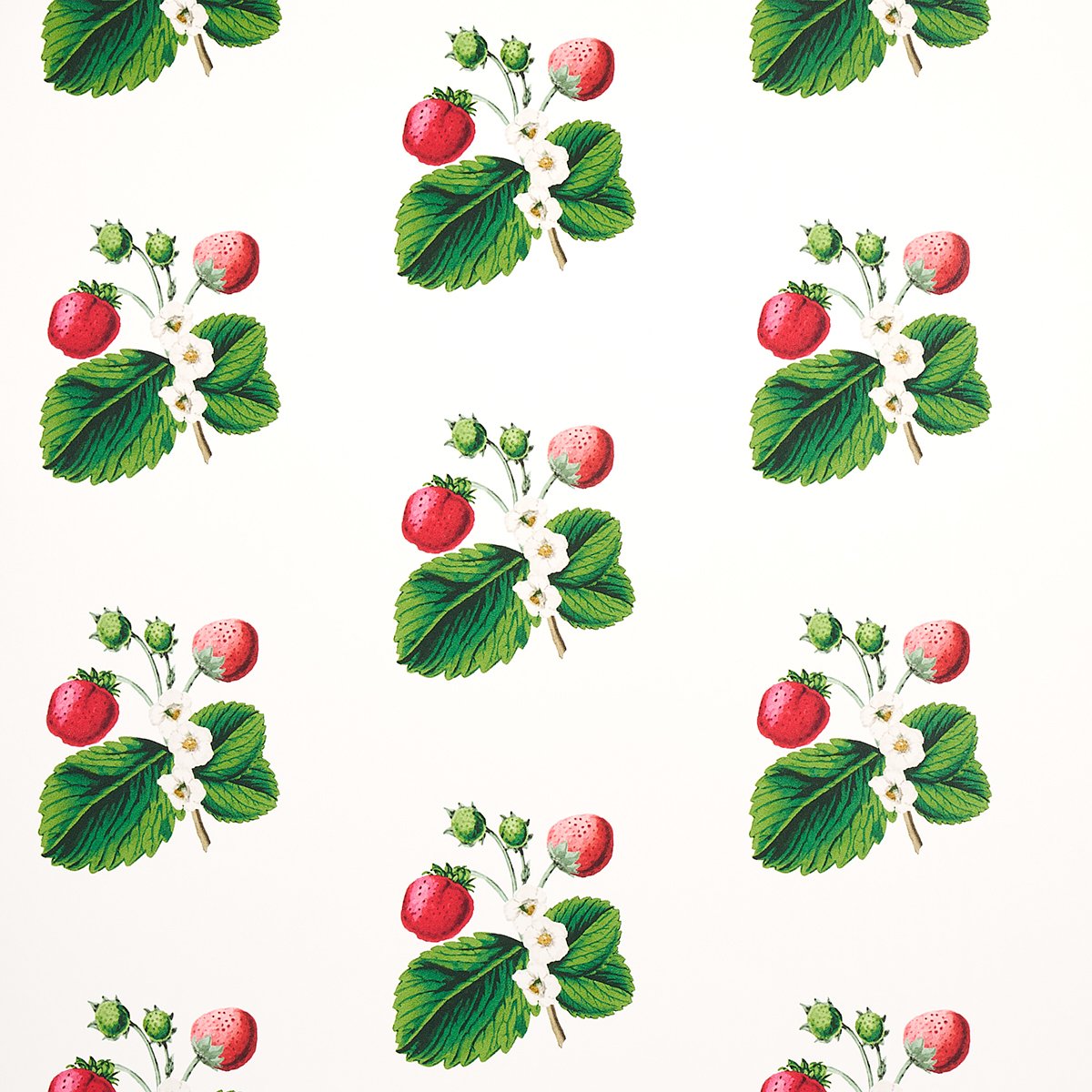 STRAWBERRY HILL WHITE Wallcovering by Schumacher White
