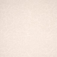 NEUTRAL