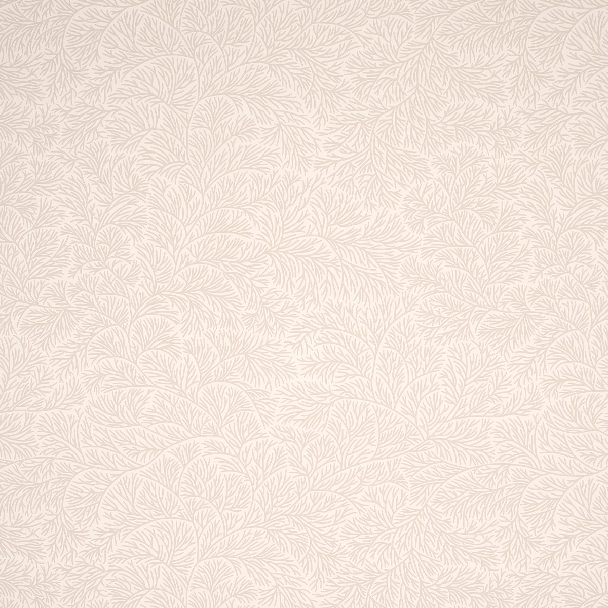 5014332.jpg BOUGAINVILLEA NEUTRAL Wallpaper by Schumacher - Image 1