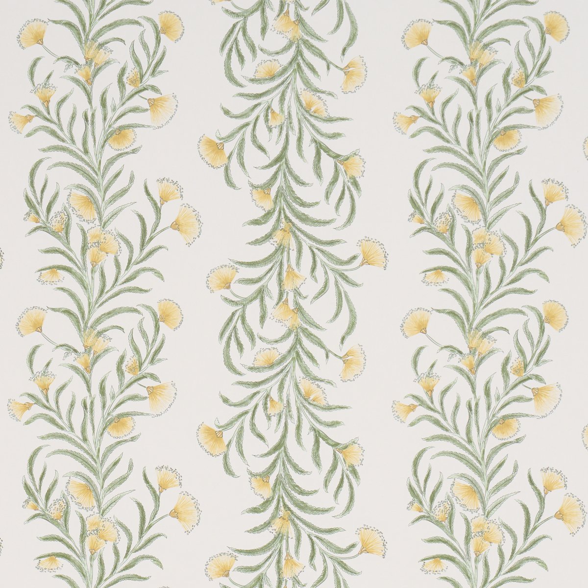 5015365.jpg TASMANIAN MIMOSA MARIGOLD Wallcovering by Schumacher - Image 1