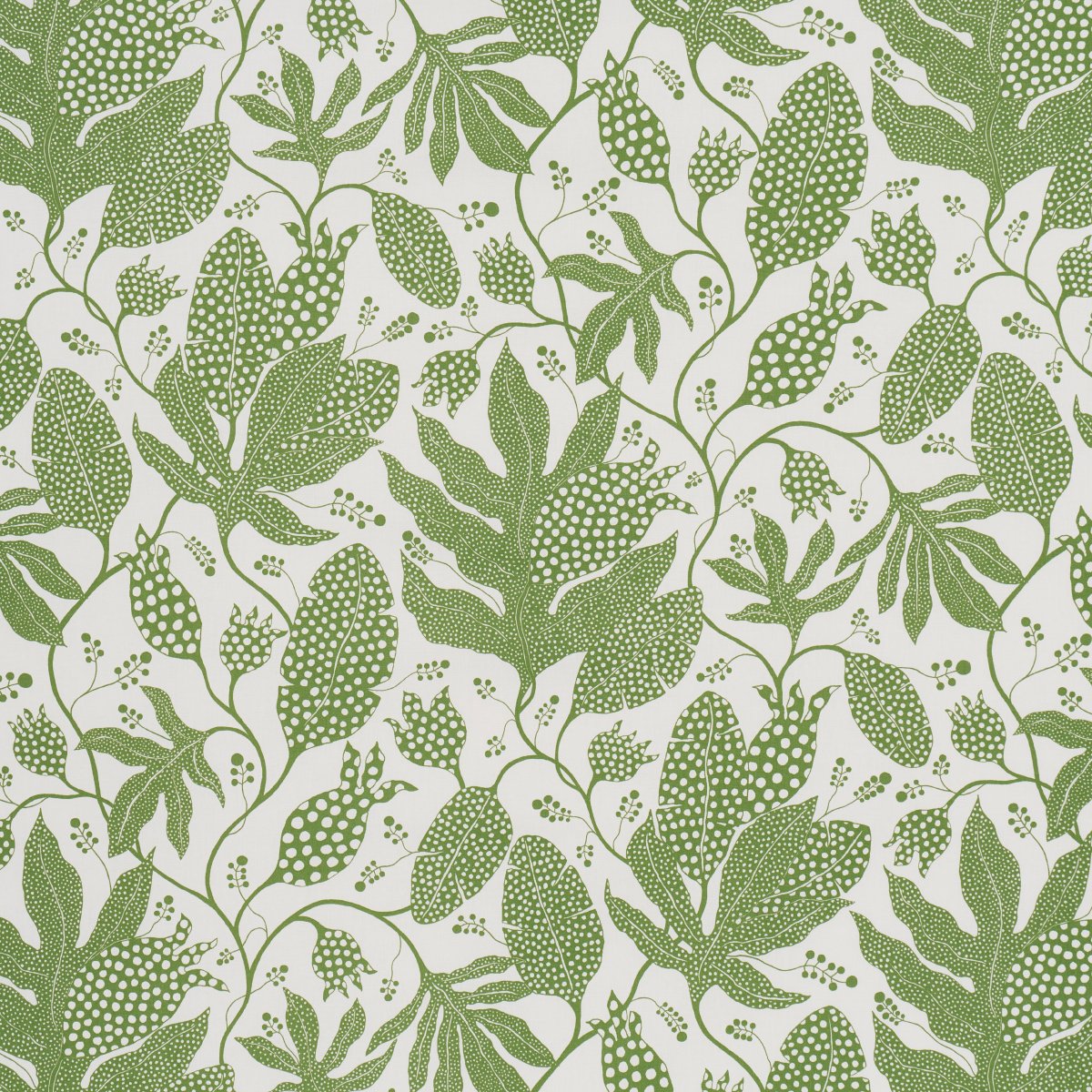 POLKA DOT JUNGLE GREEN & IVORY Wallcovering by Schumacher Green & Ivory