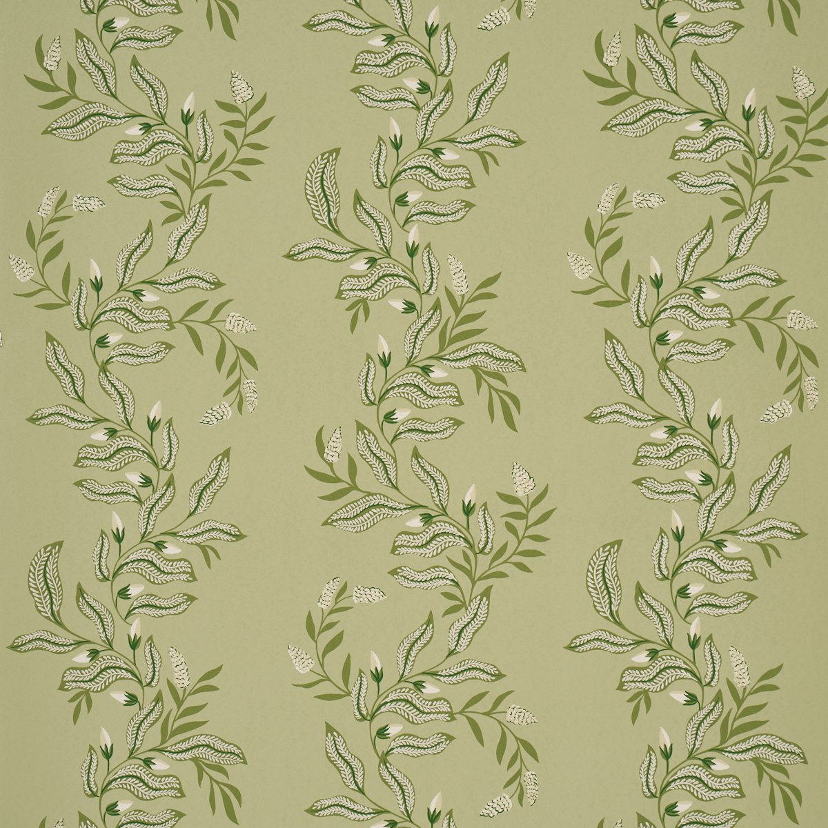 Vagary Vines HONEYDEW Wallpaper by Schumacher Honeydew
