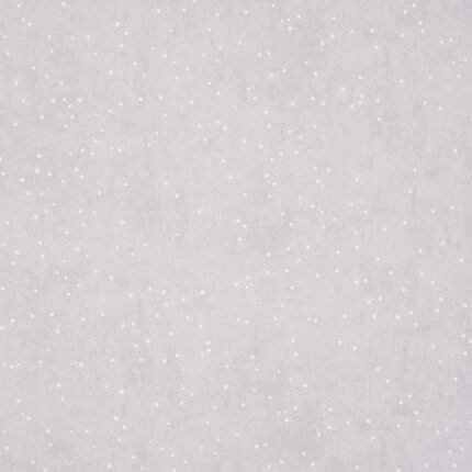 BRINDILLE STARRY SKY DOVE Wallcovering by Schumacher