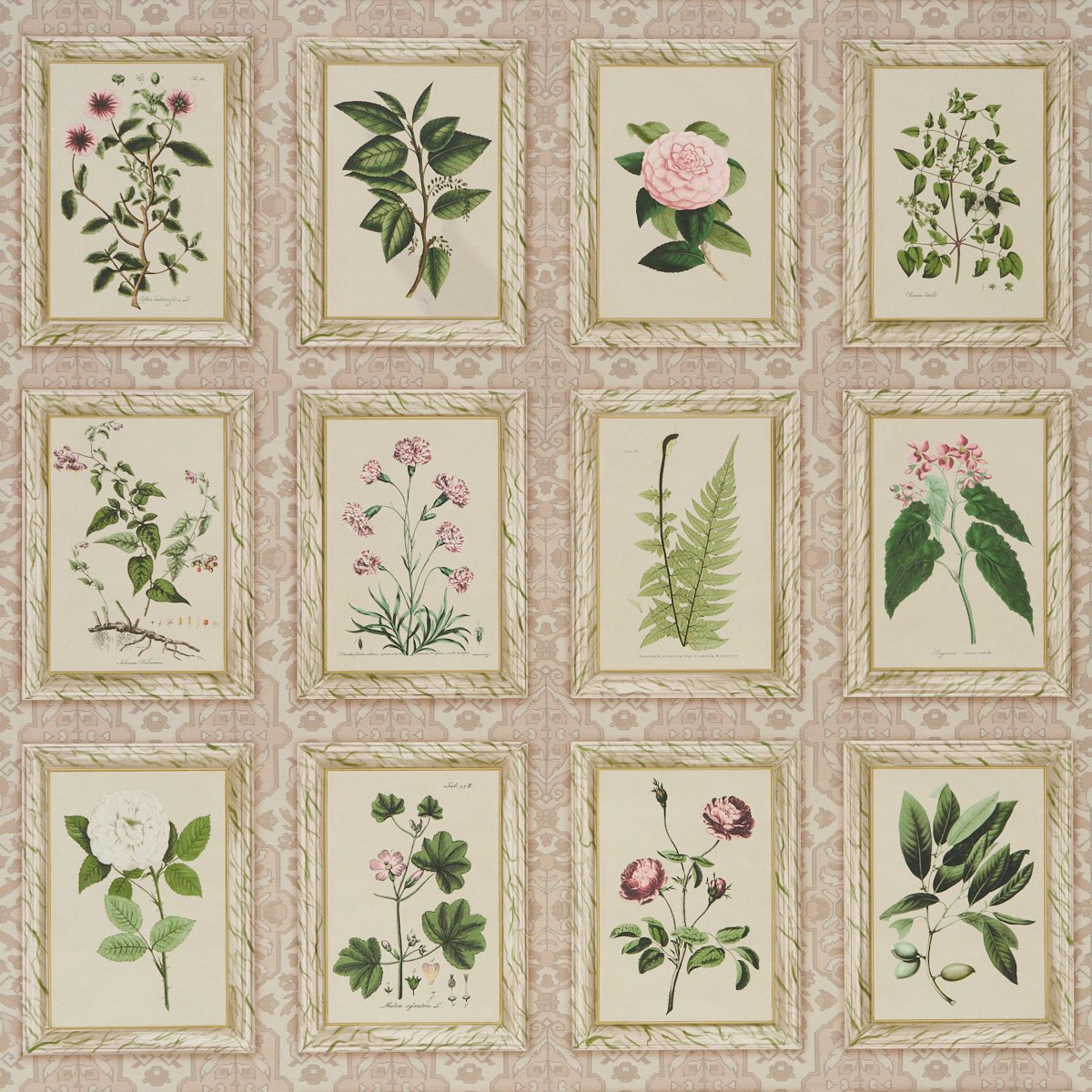 5018310.jpg Garden's Trust BLUSHED OYSTER Wallcovering by Schumacher - Image 1