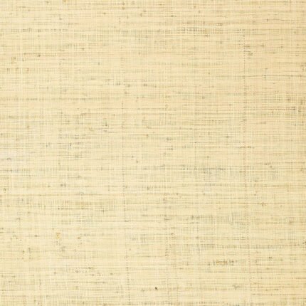 BELLEZZA GROUND WHITEWASH Wallcovering by Schumacher