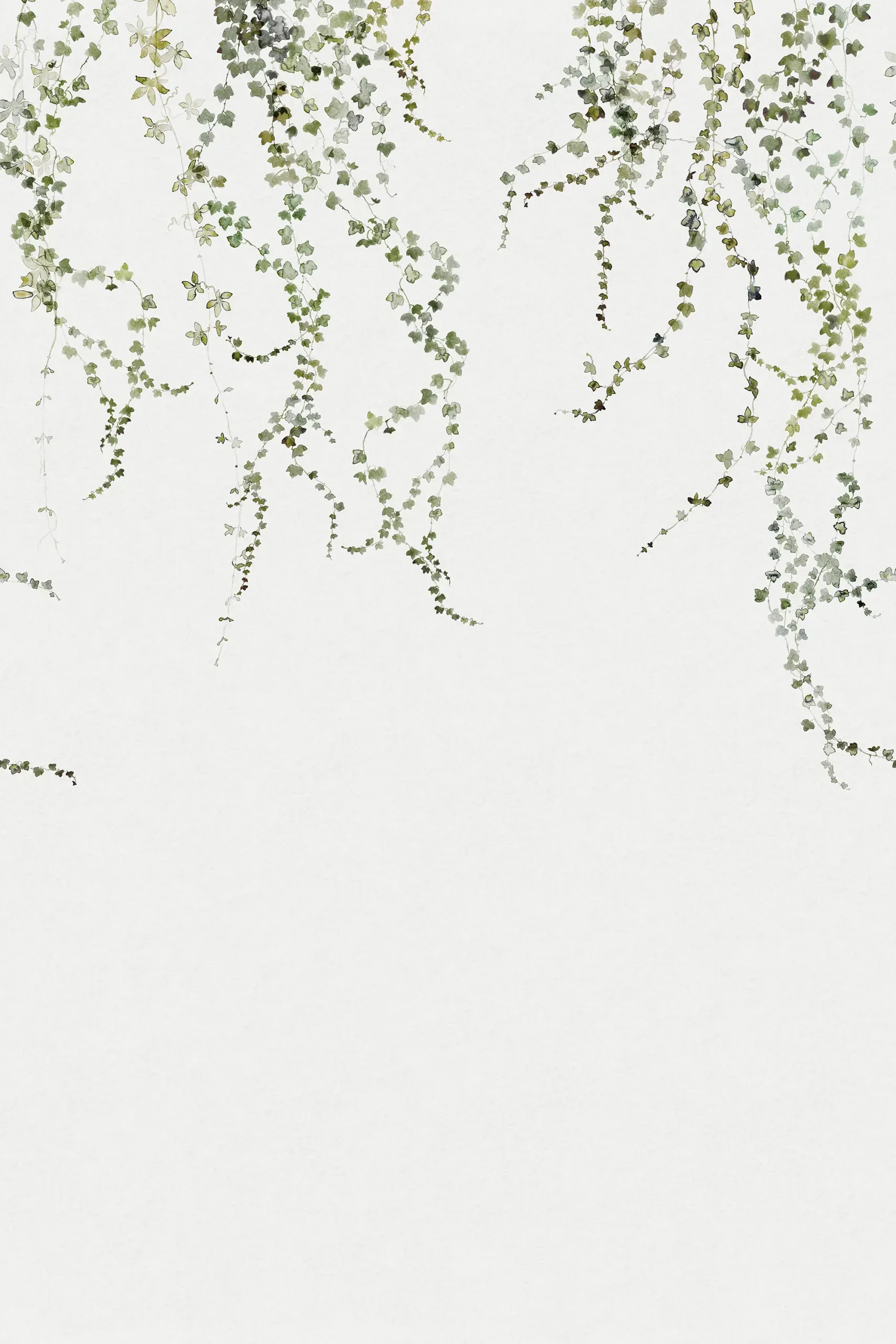 Aralia Moss Green Botanical Mural by Sandberg