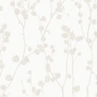 BONE