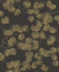 Color Variation