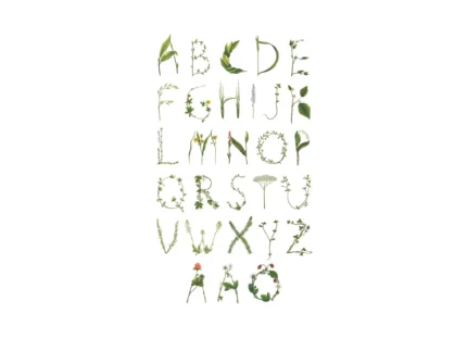 Abc For The Spelling Bee In Swedish