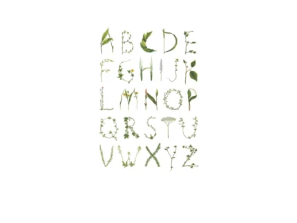 Abc For The Spelling Bee