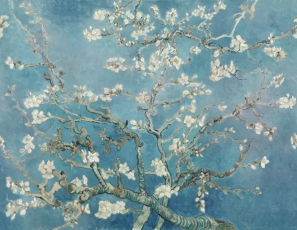 Almond Blossom By Van Gogh