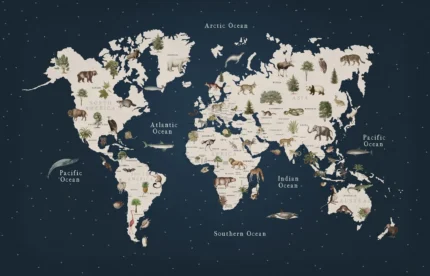 Animal World, Midnight
