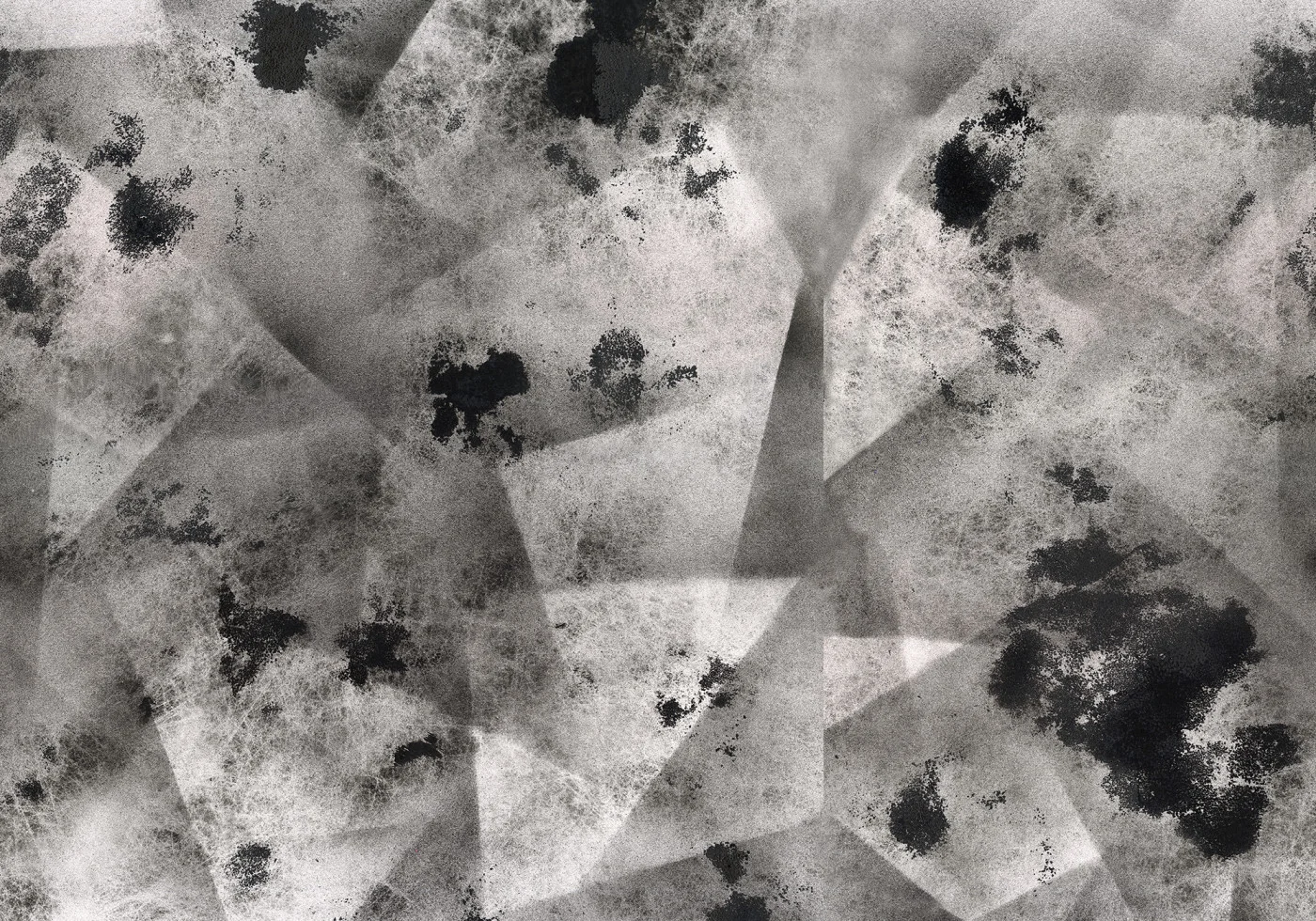 rebelwalls-ash-graphite-r18630-flat Ash, Graphite - Image 1