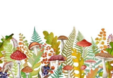 Autumn Meadow, Rainbow