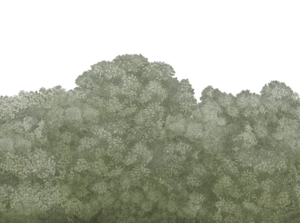 Belle Buisson, Green