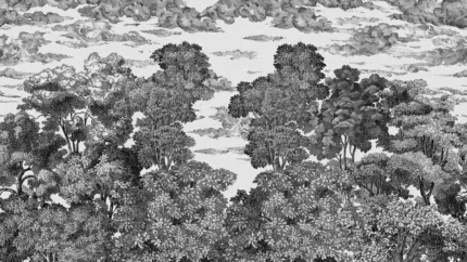 Bellewood Under The Clouds Graphite