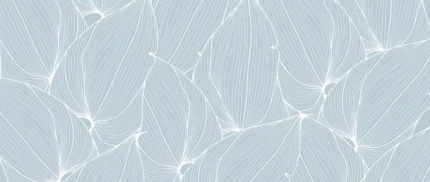 Big Leafs, Baby Blue