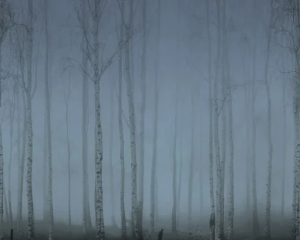 Birch Fog, Blue