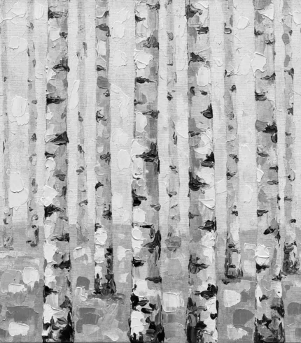 Birch Forest – Black & White