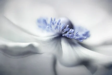 Blue Pastil