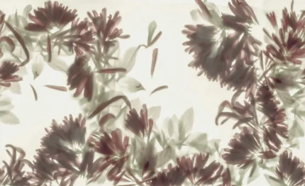 Blurry Honeysuckle, Green