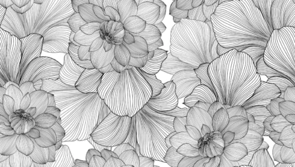 Bold Dahlia, Graphite