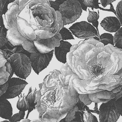 Bold Roses, Black & White