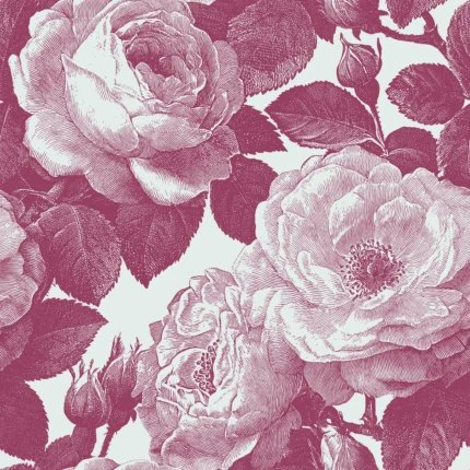 Bold Roses, Pink