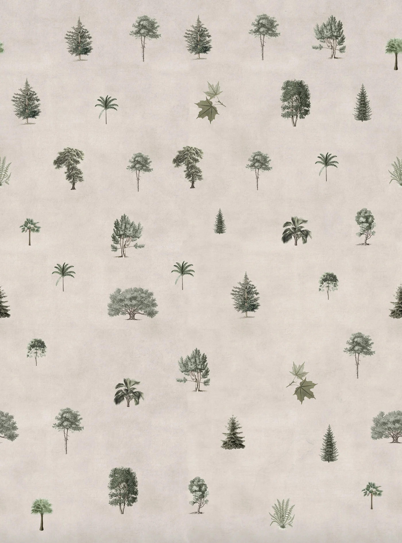 rebelwalls-botanical-garden-sand-r19353-flat Botanical Garden Sand - Image 1